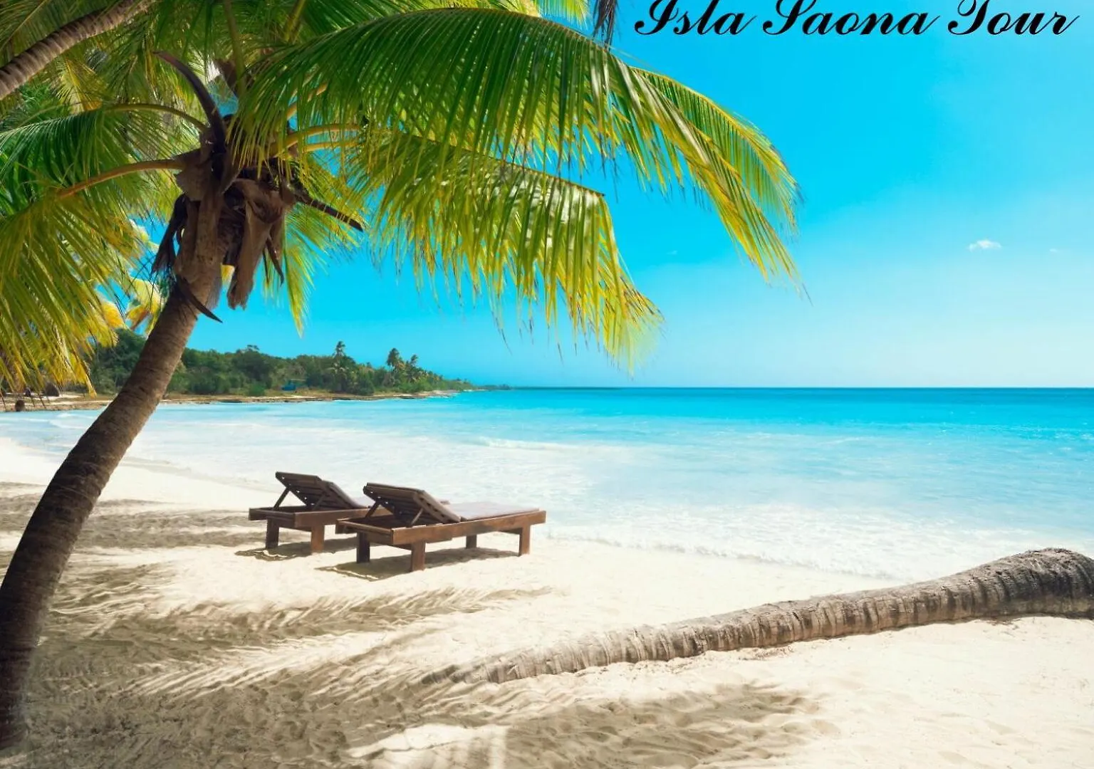 Luxury Beach Flat In Bavaro Puntacana! Punta Cana